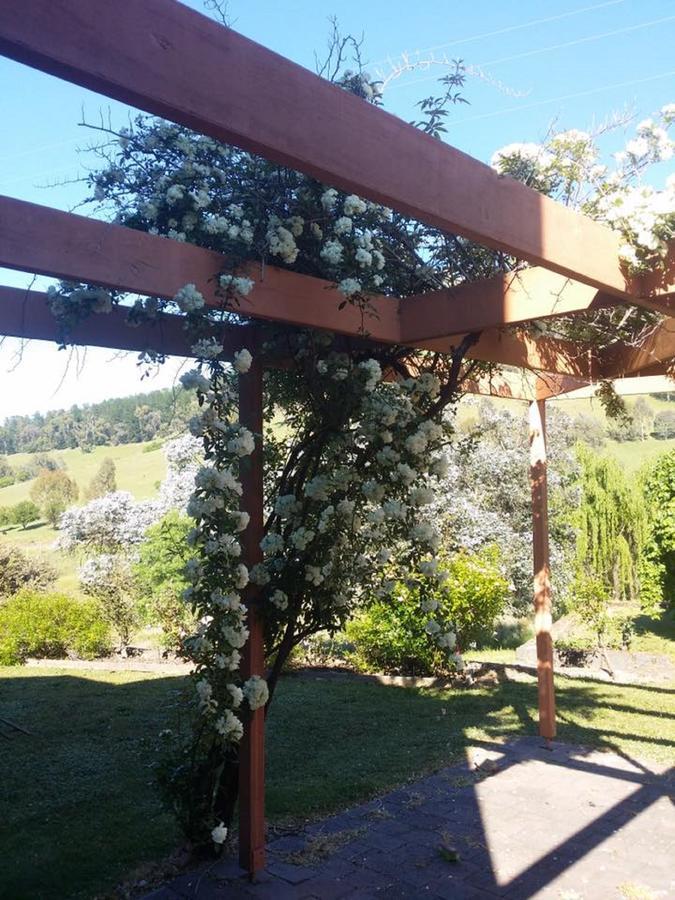 Bed and Breakfast Rosewhite House Myrtleford Exterior foto
