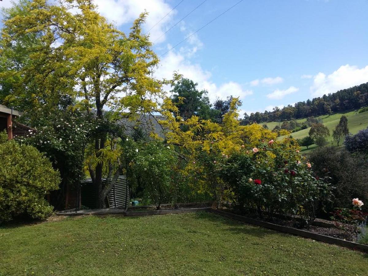 Bed and Breakfast Rosewhite House Myrtleford Exterior foto